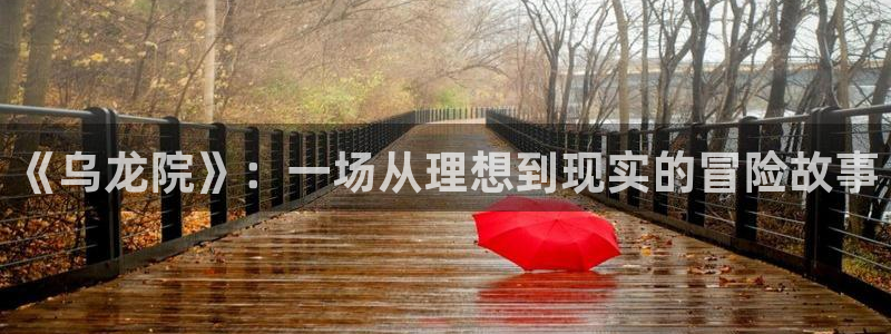 汗汗漫画入口免费：《乌龙院》：一场从理想到现实的冒险故事