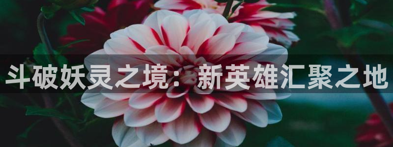 歪歪汗汗漫画在线观看：斗破妖灵之境：新英雄汇聚之地