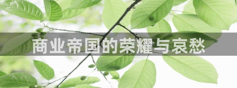歪歪汗汗漫画入口：商业帝国的荣耀与哀愁