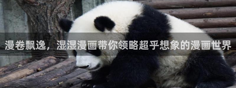 汗汗漫画大全：漫卷飘逸，湿湿漫画带你领略超乎想象的漫画世界