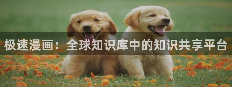 汗汗漫画弱点：极速漫画：全球知识库中的知识共享平台