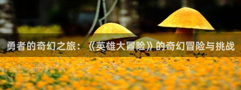 汗汗漫画.：勇者的奇幻之旅：《英雄大冒险》的奇幻冒险与挑战
