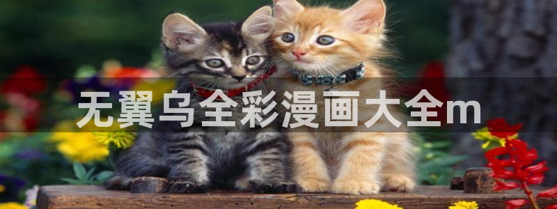 汗汗漫画免费观看：无翼乌全彩漫画大全m