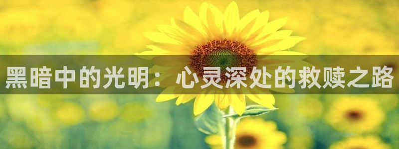 汗汗漫画在线观看：黑暗中的光明：心灵深处的救赎之路