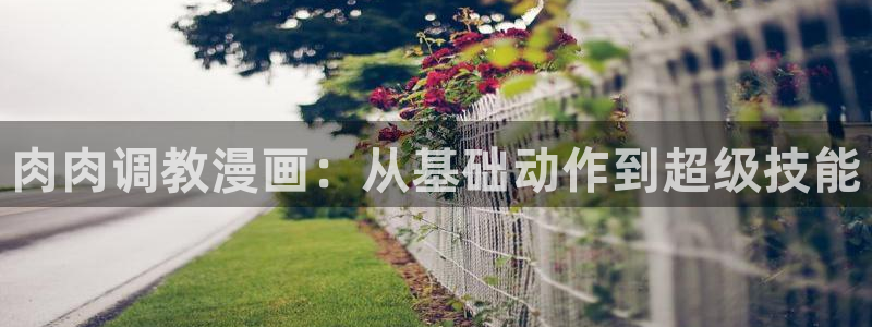 汗汗漫画弹窗：肉肉调教漫画：从基础动作到超级技能