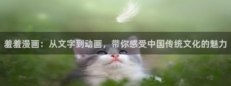 歪歪羞羞汗汗漫画ssss：羞羞漫画：从文字到动画，带你感受中国传统文化的魅力