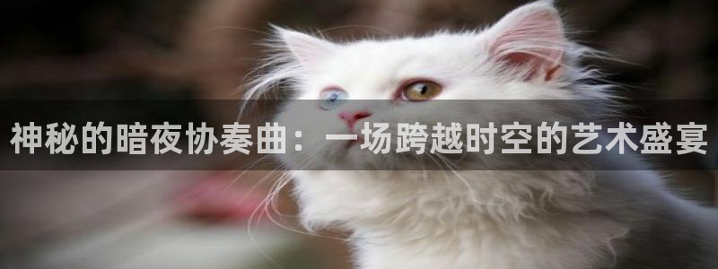 歪歪歪汗汗漫画：神秘的暗夜协奏曲：一场跨越时空的艺术盛宴